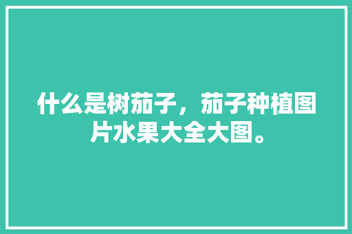 什么是树茄子，茄子种植图片水果大全大图。 什么是树茄子，茄子种植图片水果大全大图。 水果种植