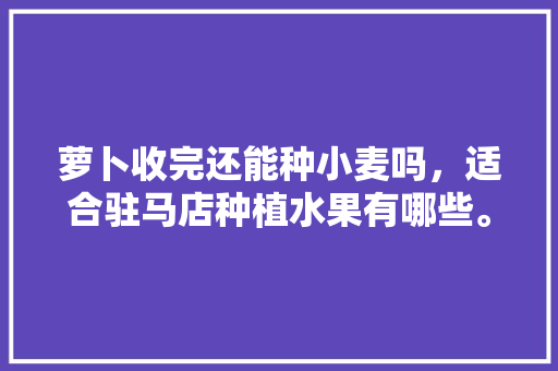 萝卜收完还能种小麦吗，适合驻马店种植水果有哪些。 蔬菜种植