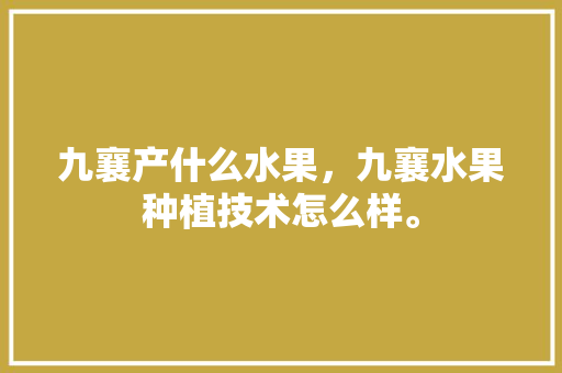 九襄产什么水果，九襄水果种植技术怎么样。 畜牧养殖