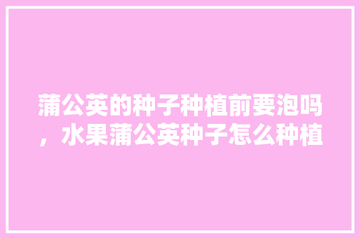 蒲公英的种子种植前要泡吗，水果蒲公英种子怎么种植的。 水果种植