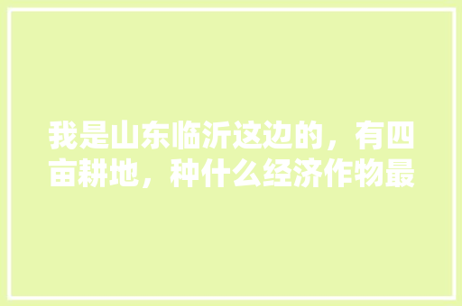 我是山东临沂这边的，有四亩耕地，种什么经济作物最好，临沂种植水果十八周年庆典。 我是山东临沂这边的，有四亩耕地，种什么经济作物最好，临沂种植水果十八周年庆典。 家禽养殖