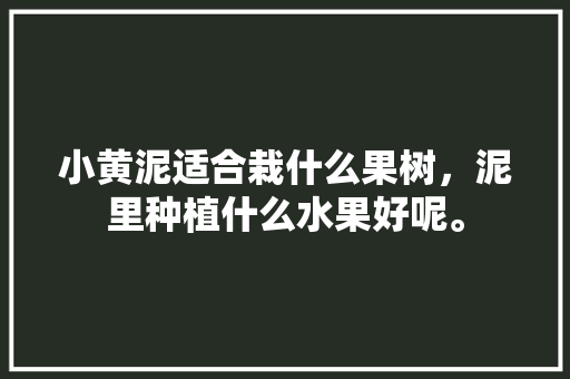 小黄泥适合栽什么果树，泥里种植什么水果好呢。 水果种植