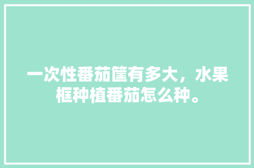 一次性番茄筐有多大，水果框种植番茄怎么种。 畜牧养殖