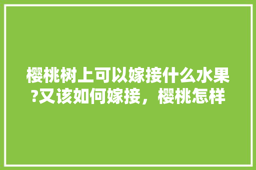 樱桃树上可以嫁接什么水果?又该如何嫁接，樱桃怎样种植水果大全视频。 土壤施肥