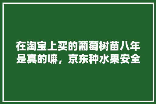 在淘宝上买的葡萄树苗八年是真的嘛，京东种水果安全吗。 在淘宝上买的葡萄树苗八年是真的嘛，京东种水果安全吗。 水果种植