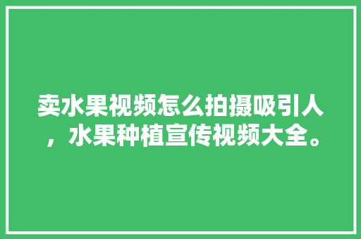 卖水果视频怎么拍摄吸引人，水果种植宣传视频大全。 土壤施肥