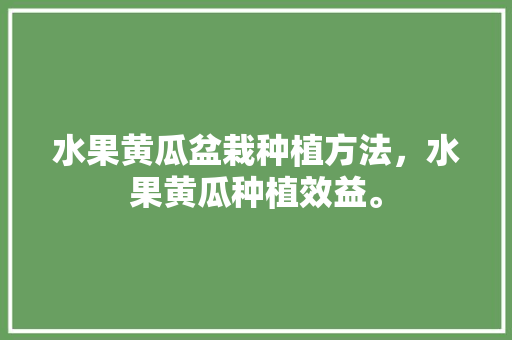 水果黄瓜盆栽种植方法，水果黄瓜种植效益。 土壤施肥