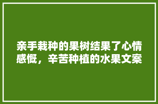 亲手栽种的果树结果了心情感慨，辛苦种植的水果文案怎么写。 水果种植