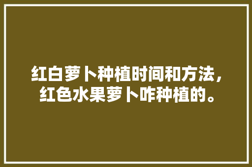 红白萝卜种植时间和方法，红色水果萝卜咋种植的。 水果种植