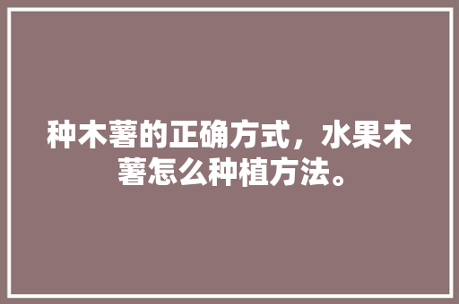 种木薯的正确方式，水果木薯怎么种植方法。 土壤施肥