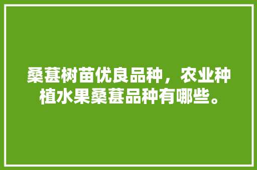 桑葚树苗优良品种，农业种植水果桑葚品种有哪些。 土壤施肥