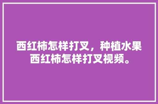 西红柿怎样打叉，种植水果西红柿怎样打叉视频。 畜牧养殖