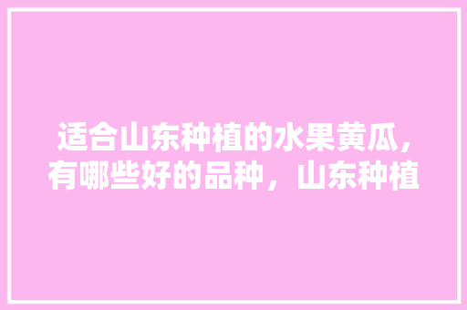 适合山东种植的水果黄瓜，有哪些好的品种，山东种植水果黄瓜销售渠道。 家禽养殖