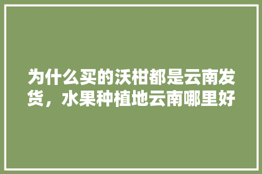 为什么买的沃柑都是云南发货，水果种植地云南哪里好。 畜牧养殖