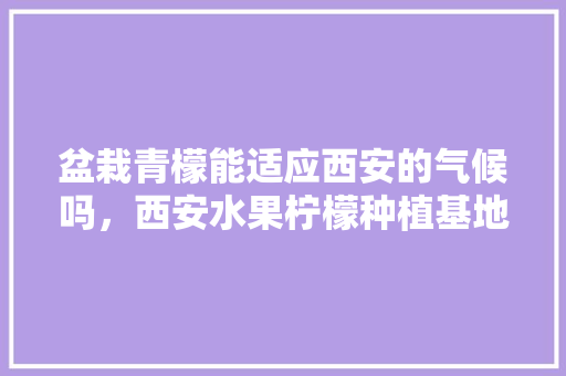 盆栽青檬能适应西安的气候吗，西安水果柠檬种植基地在哪里。 畜牧养殖