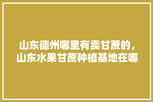 山东德州哪里有卖甘蔗的，山东水果甘蔗种植基地在哪里。 畜牧养殖