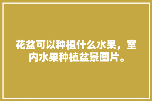 花盆可以种植什么水果，室内水果种植盆景图片。 畜牧养殖