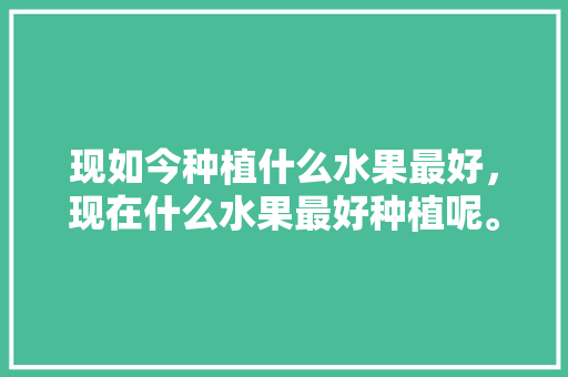 现如今种植什么水果最好，现在什么水果最好种植呢。 现如今种植什么水果最好，现在什么水果最好种植呢。 土壤施肥