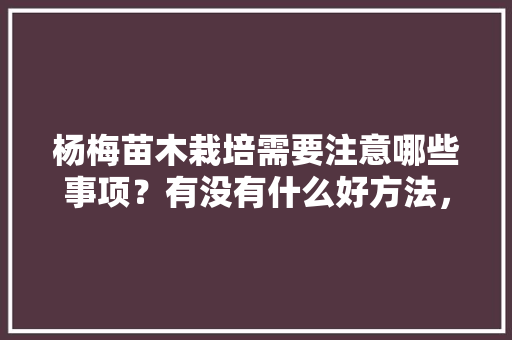 杨梅苗木栽培需要注意哪些事项？有没有什么好方法，水果杨梅种植管理技术视频。 杨梅苗木栽培需要注意哪些事项？有没有什么好方法，水果杨梅种植管理技术视频。 水果种植