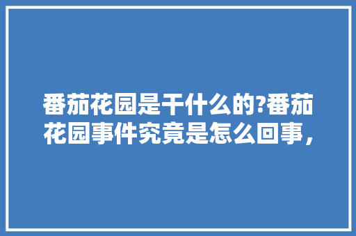 番茄花园是干什么的?番茄花园事件究竟是怎么回事，花园水果种植番茄图片大全。 水果种植