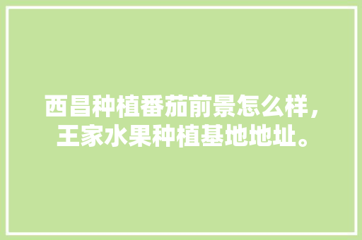 西昌种植番茄前景怎么样，王家水果种植基地地址。 西昌种植番茄前景怎么样，王家水果种植基地地址。 土壤施肥