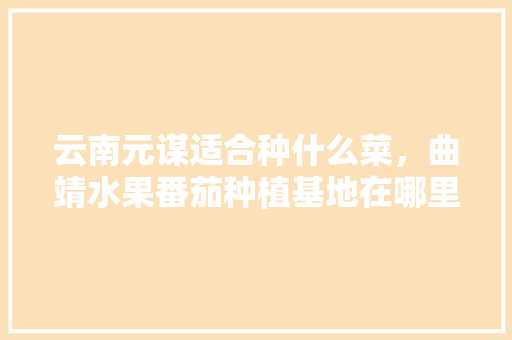 云南元谋适合种什么菜，曲靖水果番茄种植基地在哪里。 云南元谋适合种什么菜，曲靖水果番茄种植基地在哪里。 水果种植