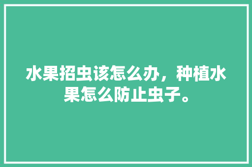 水果招虫该怎么办，种植水果怎么防止虫子。 土壤施肥