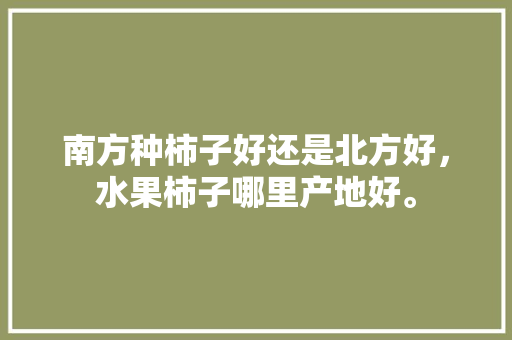 南方种柿子好还是北方好，水果柿子哪里产地好。 土壤施肥