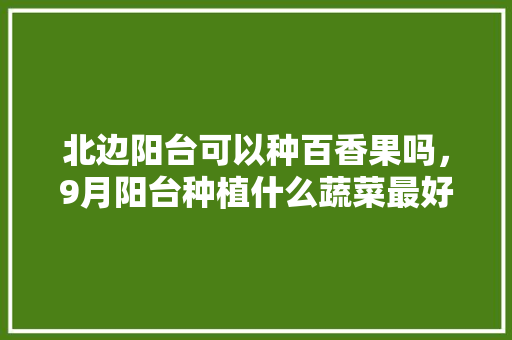 北边阳台可以种百香果吗，9月阳台种植什么蔬菜最好。 水果种植