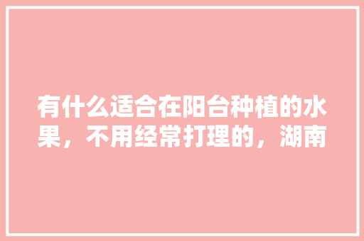 有什么适合在阳台种植的水果，不用经常打理的，湖南室内阳台种植水果有哪些。 畜牧养殖