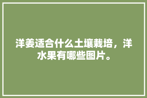 洋姜适合什么土壤栽培，洋水果有哪些图片。 洋姜适合什么土壤栽培，洋水果有哪些图片。 畜牧养殖