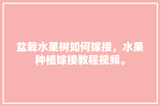 盆栽水果树如何嫁接，水果种植嫁接教程视频。 水果种植