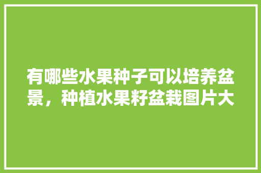 有哪些水果种子可以培养盆景，种植水果籽盆栽图片大全。 水果种植