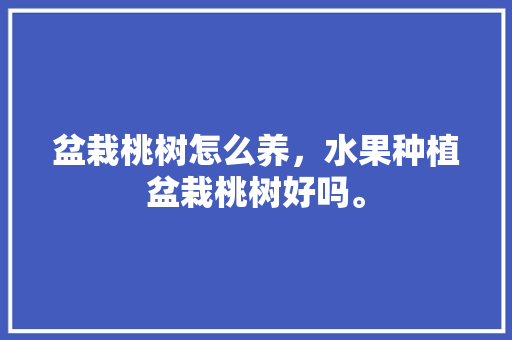 盆栽桃树怎么养，水果种植盆栽桃树好吗。 盆栽桃树怎么养，水果种植盆栽桃树好吗。 蔬菜种植