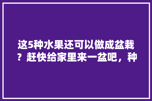 这5种水果还可以做成盆栽？赶快给家里来一盆吧，种植水果盆栽大全表格图片。 畜牧养殖