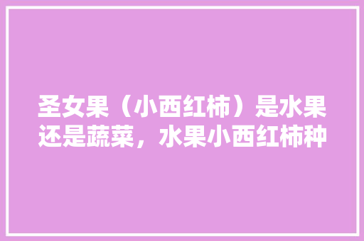 圣女果（小西红柿）是水果还是蔬菜，水果小西红柿种植方法。 圣女果（小西红柿）是水果还是蔬菜，水果小西红柿种植方法。 畜牧养殖