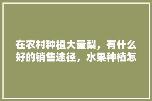 在农村种植大量梨，有什么好的销售途径，水果种植怎么卖出去。 土壤施肥