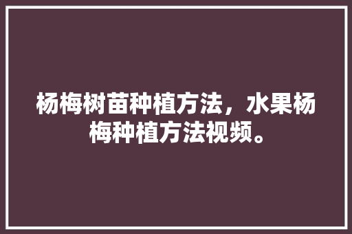 杨梅树苗种植方法，水果杨梅种植方法视频。 水果种植