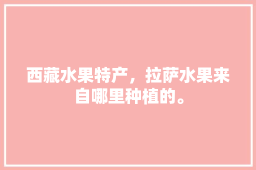 西藏水果特产，拉萨水果来自哪里种植的。 水果种植