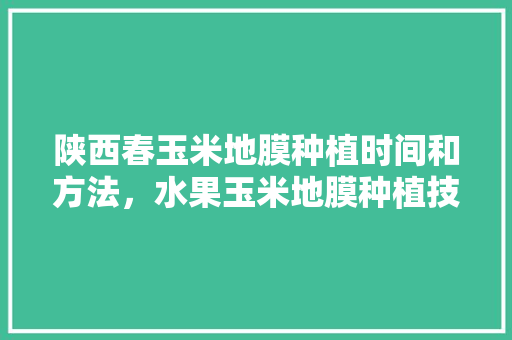 陕西春玉米地膜种植时间和方法，水果玉米地膜种植技术视频。 畜牧养殖