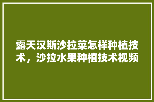 露天汉斯沙拉菜怎样种植技术，沙拉水果种植技术视频。 土壤施肥