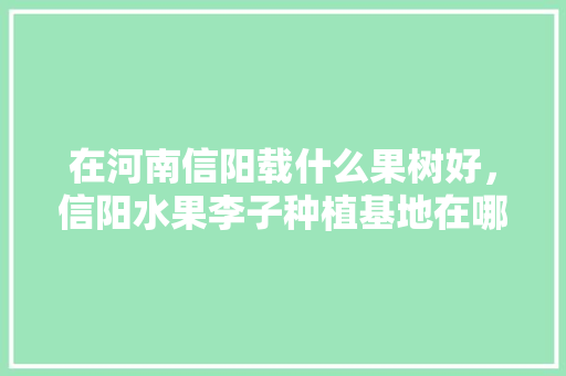 在河南信阳载什么果树好，信阳水果李子种植基地在哪里。 在河南信阳载什么果树好，信阳水果李子种植基地在哪里。 畜牧养殖