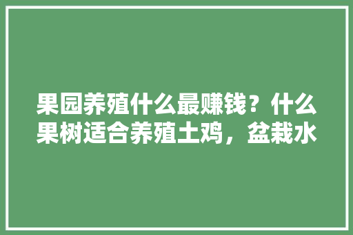 果园养殖什么最赚钱？什么果树适合养殖土鸡，盆栽水果种植视频教程。 家禽养殖