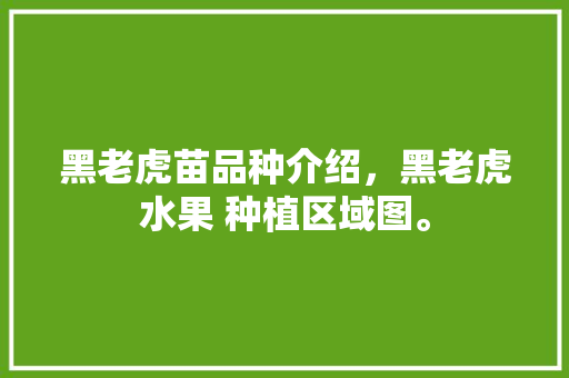 黑老虎苗品种介绍，黑老虎水果 种植区域图。 黑老虎苗品种介绍，黑老虎水果 种植区域图。 水果种植