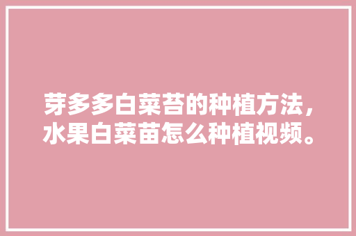 芽多多白菜苔的种植方法，水果白菜苗怎么种植视频。 畜牧养殖