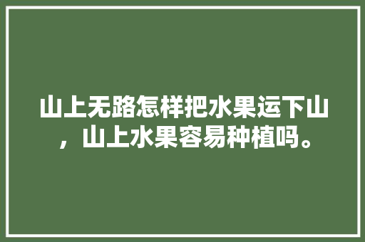 山上无路怎样把水果运下山，山上水果容易种植吗。 水果种植