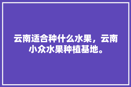 云南适合种什么水果，云南小众水果种植基地。 土壤施肥