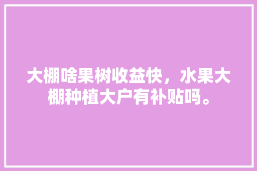 大棚啥果树收益快，水果大棚种植大户有补贴吗。 畜牧养殖