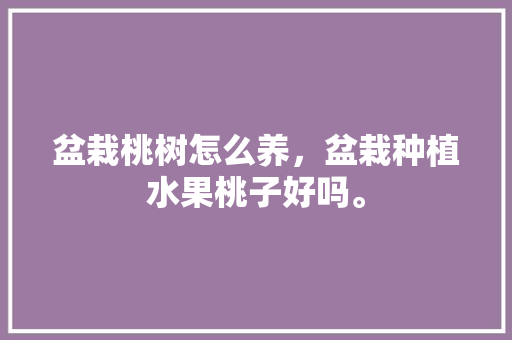 盆栽桃树怎么养，盆栽种植水果桃子好吗。 水果种植