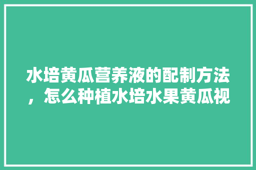 水培黄瓜营养液的配制方法，怎么种植水培水果黄瓜视频。 水果种植